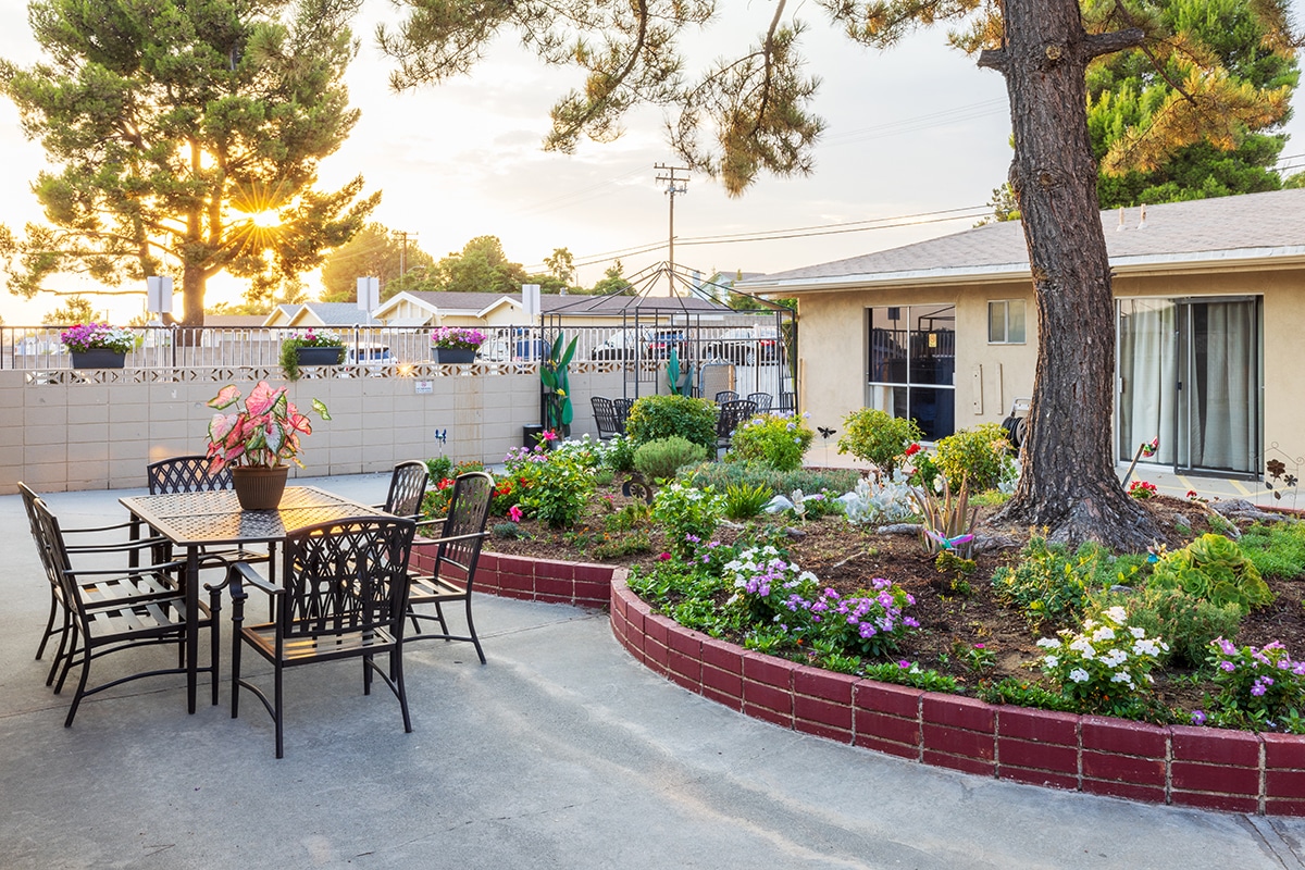 Desktop Background Image