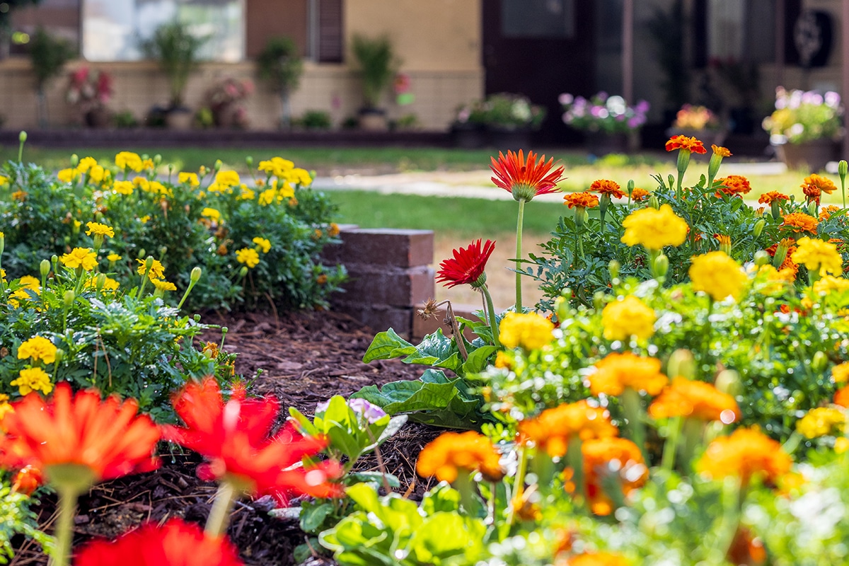 Desktop Background Image